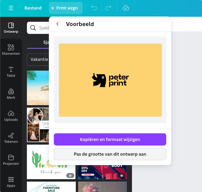 formaat opslaan in Canva Pro